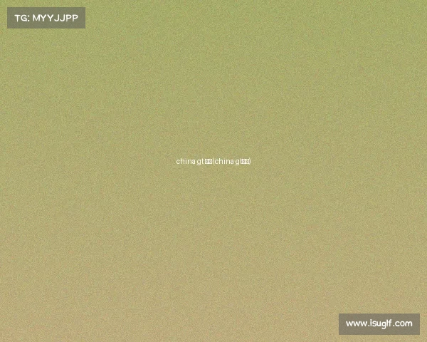 china gt 赛事(china gt赛车)