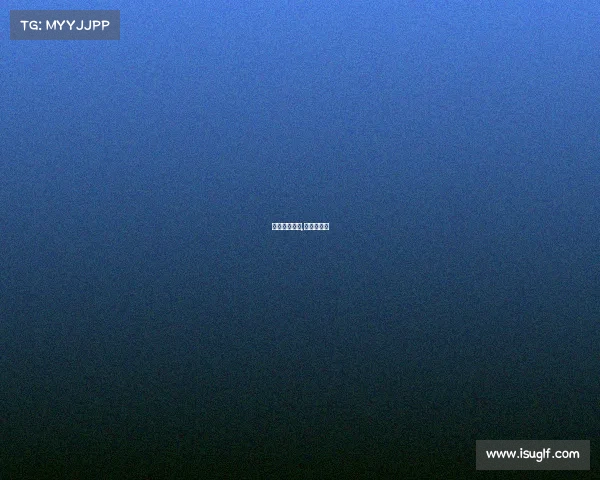 女排赛事德国,女排德国队