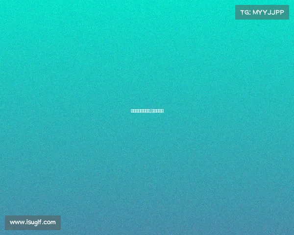 查拳全国举行赛事,查拳知多少