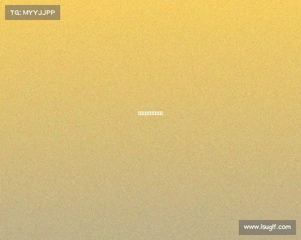 网易赛事统筹网易球赛