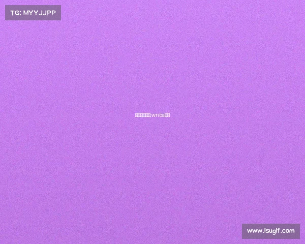 狂热篮球赛事;wnba狂热