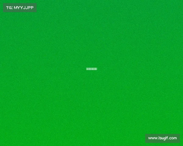 羽毛球赛事等级